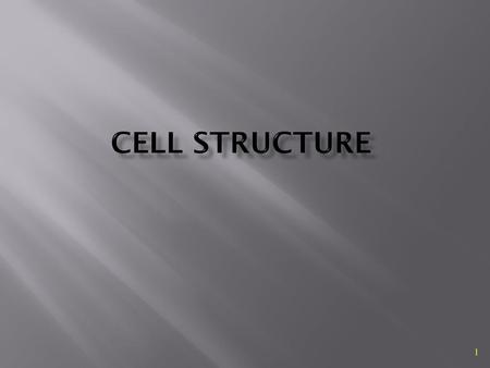 Cell Structure.