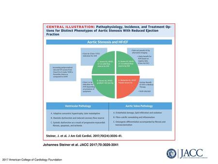 Johannes Steiner et al. JACC 2017;70: