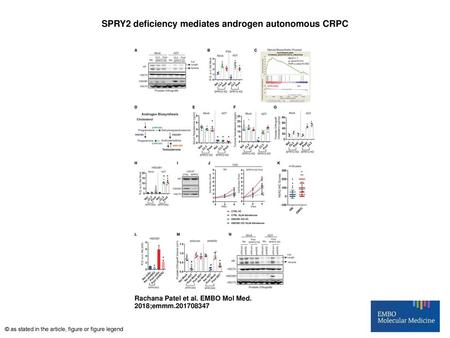 SPRY2 deficiency mediates androgen autonomous CRPC