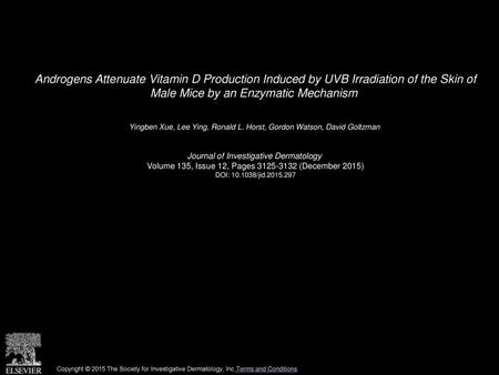 Androgens Attenuate Vitamin D Production Induced by UVB Irradiation of the Skin of Male Mice by an Enzymatic Mechanism  Yingben Xue, Lee Ying, Ronald.