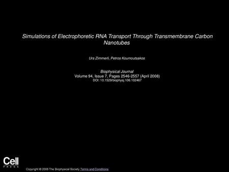 Urs Zimmerli, Petros Koumoutsakos  Biophysical Journal 