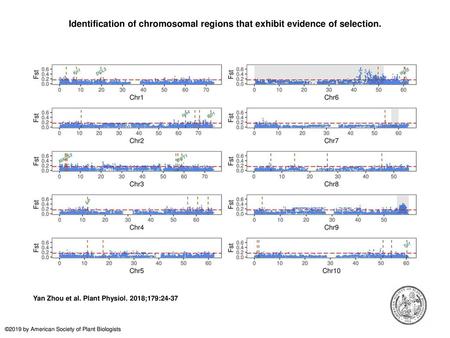 Identification of chromosomal regions that exhibit evidence of selection. Identification of chromosomal regions that exhibit evidence of selection. Allele.