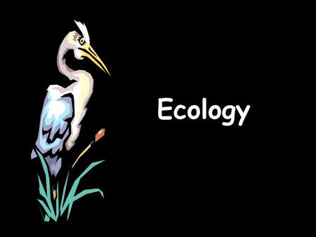 Ecology.