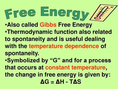 Free Energy Also called Gibbs Free Energy