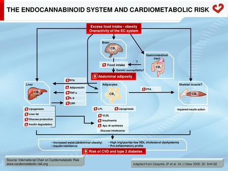 THE ENDOCANNABINOID SYSTEM AND CARDIOMETABOLIC RISK