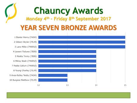 YEAR SEVEN BRONZE AWARDS