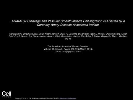 ADAMTS7 Cleavage and Vascular Smooth Muscle Cell Migration Is Affected by a Coronary-Artery-Disease-Associated Variant  Xiangyuan Pu, Qingzhong Xiao,