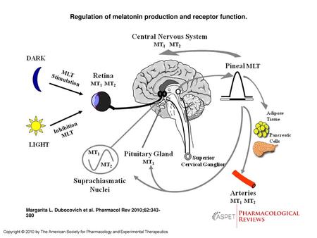 Regulation of melatonin production and receptor function.