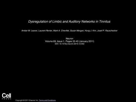 Dysregulation of Limbic and Auditory Networks in Tinnitus