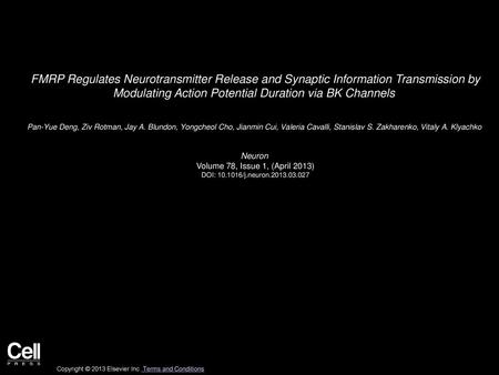 FMRP Regulates Neurotransmitter Release and Synaptic Information Transmission by Modulating Action Potential Duration via BK Channels  Pan-Yue Deng, Ziv.