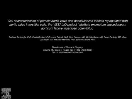 Cell characterization of porcine aortic valve and decellularized leaflets repopulated with aortic valve interstitial cells: the VESALIO project (vitalitate.