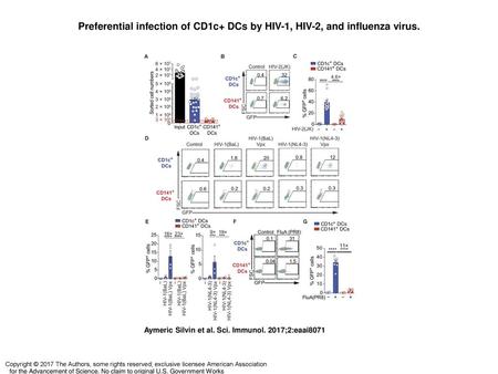 Preferential infection of CD1c+ DCs by HIV-1, HIV-2, and influenza virus. Preferential infection of CD1c+ DCs by HIV-1, HIV-2, and influenza virus. (A)