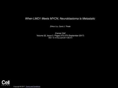 When LMO1 Meets MYCN, Neuroblastoma Is Metastatic