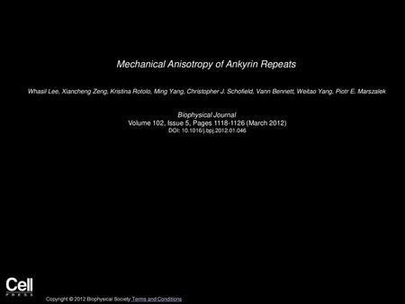 Mechanical Anisotropy of Ankyrin Repeats