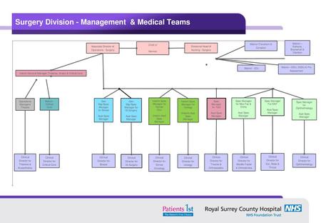 Surgery Division - Management & Medical Teams