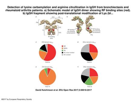 Detection of lysine carbamylation and arginine citrullination in IgGH from bronchiectasis and rheumatoid arthritis patients. a) Schematic model of IgGH.