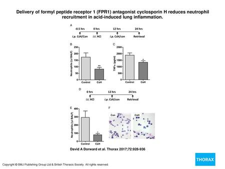 Delivery of formyl peptide receptor 1 (FPR1) antagonist cyclosporin H reduces neutrophil recruitment in acid-induced lung inflammation. Delivery of formyl.