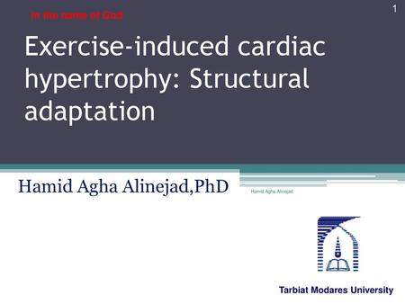 Exercise-induced cardiac hypertrophy: Structural adaptation