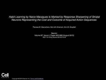 Habit Learning by Naive Macaques Is Marked by Response Sharpening of Striatal Neurons Representing the Cost and Outcome of Acquired Action Sequences 