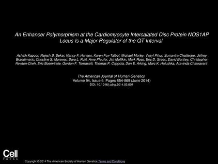 An Enhancer Polymorphism at the Cardiomyocyte Intercalated Disc Protein NOS1AP Locus Is a Major Regulator of the QT Interval  Ashish Kapoor, Rajesh B.