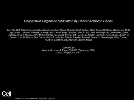 Cooperative Epigenetic Modulation by Cancer Amplicon Genes