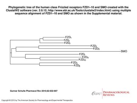 Phylogenetic tree of the human class Frizzled receptors FZD1–10 and SMO created with the ClustalW2 software (ver. 2.0.12; http://www.ebi.ac.uk/Tools/clustalw2/index.html)