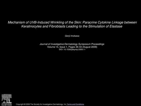 Mechanism of UVB-Induced Wrinkling of the Skin: Paracrine Cytokine Linkage between Keratinocytes and Fibroblasts Leading to the Stimulation of Elastase 