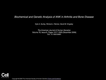 Biochemical and Genetic Analysis of ANK in Arthritis and Bone Disease