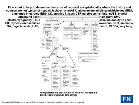 Flow chart to help to determine the cause of neonatal encephalopathy where the history and courses are not typical of hypoxia ischaemia. aAASA, alpha amino.