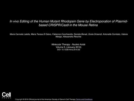 Molecular Therapy - Nucleic Acids