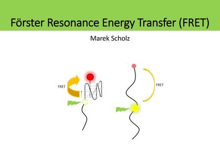 Förster Resonance Energy Transfer (FRET)