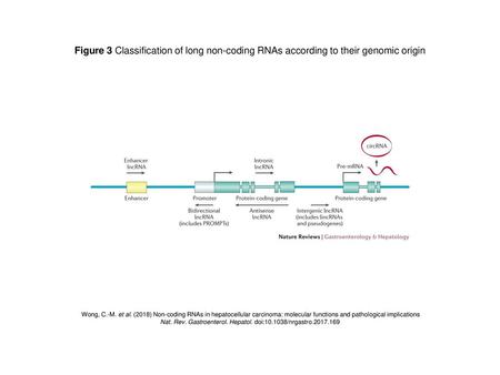 Nat. Rev. Gastroenterol. Hepatol. doi: /nrgastro