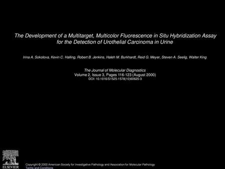 The Development of a Multitarget, Multicolor Fluorescence in Situ Hybridization Assay for the Detection of Urothelial Carcinoma in Urine  Irina A. Sokolova,