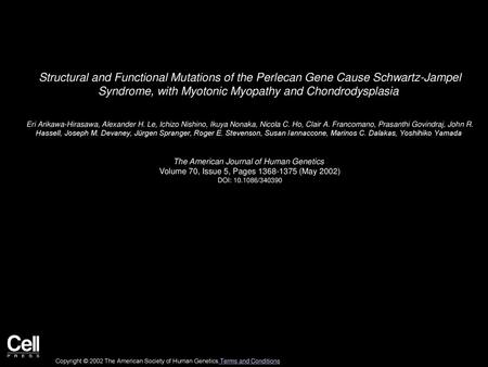 Structural and Functional Mutations of the Perlecan Gene Cause Schwartz-Jampel Syndrome, with Myotonic Myopathy and Chondrodysplasia  Eri Arikawa-Hirasawa,