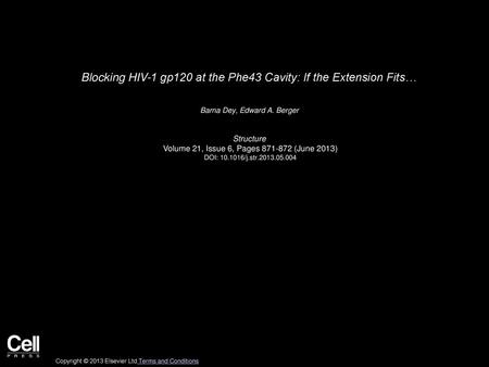 Blocking HIV-1 gp120 at the Phe43 Cavity: If the Extension Fits…