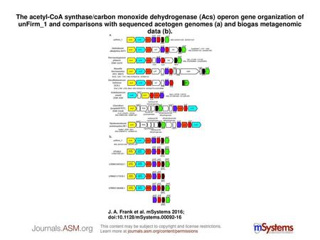 The acetyl-CoA synthase/carbon monoxide dehydrogenase (Acs) operon gene organization of unFirm_1 and comparisons with sequenced acetogen genomes (a) and.