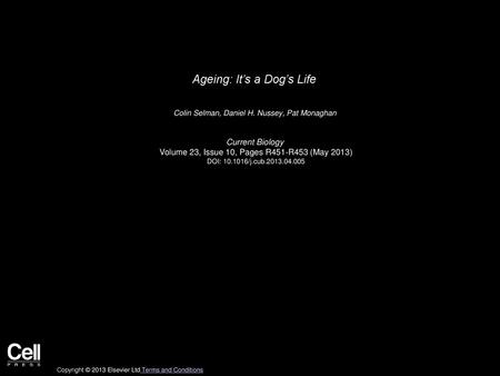 Ageing: It’s a Dog’s Life