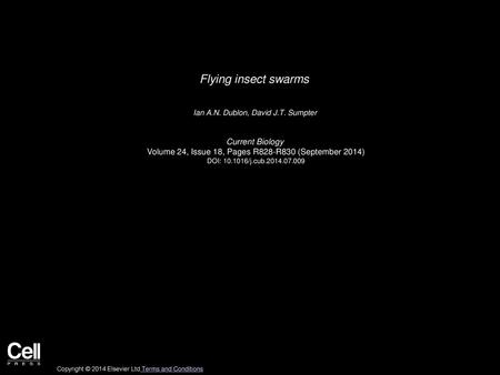 Flying insect swarms Current Biology