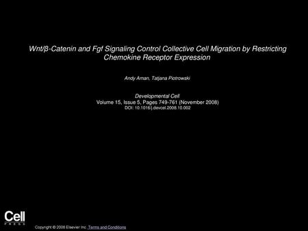 Wnt/β-Catenin and Fgf Signaling Control Collective Cell Migration by Restricting Chemokine Receptor Expression  Andy Aman, Tatjana Piotrowski  Developmental.