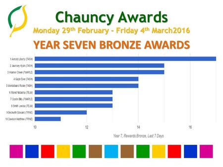 YEAR SEVEN BRONZE AWARDS