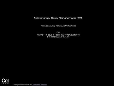 Mitochondrial Matrix Reloaded with RNA