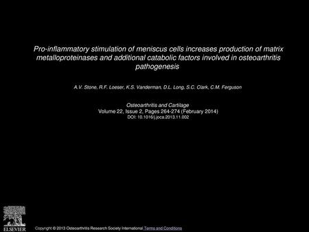 Pro-inflammatory stimulation of meniscus cells increases production of matrix metalloproteinases and additional catabolic factors involved in osteoarthritis.