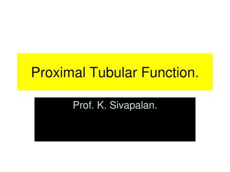 Proximal Tubular Function.