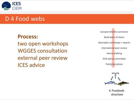 D 4 Food webs Process: two open workshops WGGES consultation