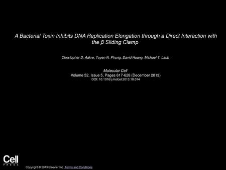 A Bacterial Toxin Inhibits DNA Replication Elongation through a Direct Interaction with the β Sliding Clamp  Christopher D. Aakre, Tuyen N. Phung, David.