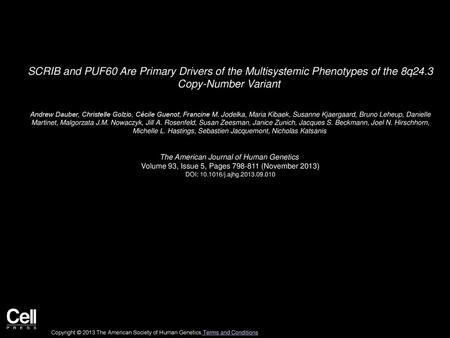 SCRIB and PUF60 Are Primary Drivers of the Multisystemic Phenotypes of the 8q24.3 Copy-Number Variant  Andrew Dauber, Christelle Golzio, Cécile Guenot,