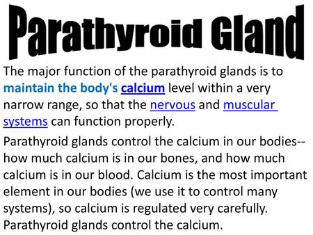 The major function of the parathyroid glands is to maintain the body's calcium level within a very narrow range, so that the nervous and muscular systems.