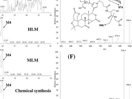 (A) (E) (B) (C) (F) (D) Control HLM MLM Chemical synthesis M4 M4'