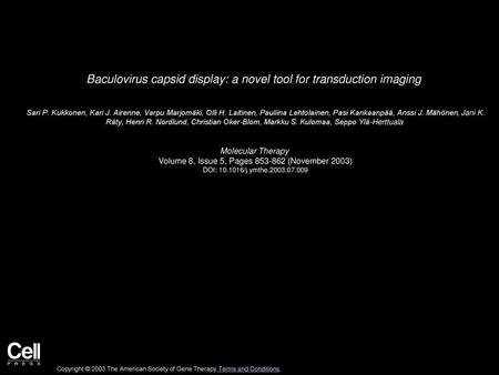 Baculovirus capsid display: a novel tool for transduction imaging