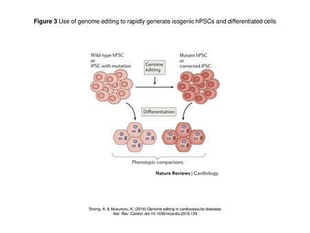 Nat. Rev. Cardiol. doi: /nrcardio